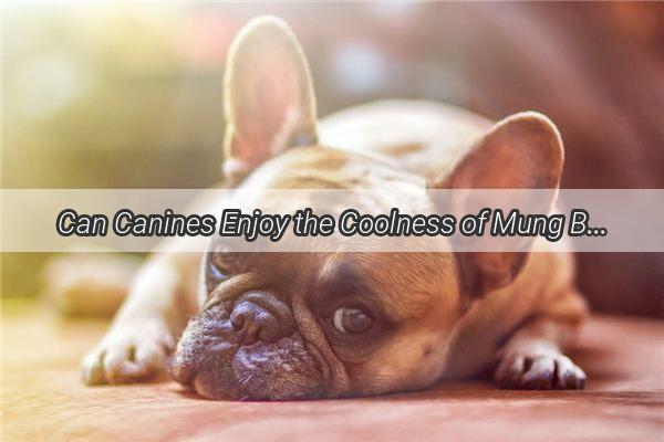 Can Canines Enjoy the Coolness of Mung Bean Congee A Delightful Discovery for Dog Lovers